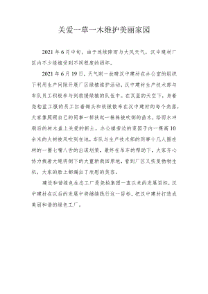 关爱一草一木 维护美丽家园.docx