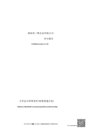 浙商中拓：三维企业审计报告.docx
