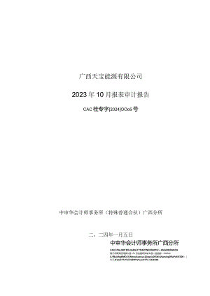北部湾港：广西天宝能源有限公司2023年10月报表审计报告.docx