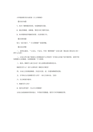 幼儿园小班健康教育活动教学设计《大大的眼睛》.docx