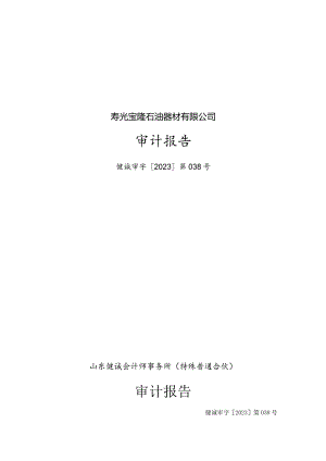 山东墨龙：寿光宝隆石油器材有限公司审计报告.docx