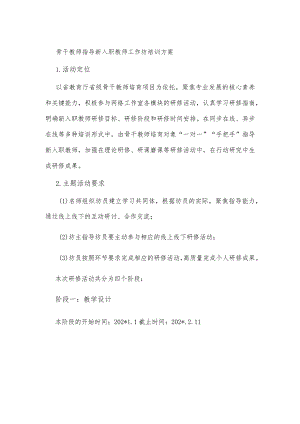 骨干教师指导新入职教师工作坊培训方案.docx