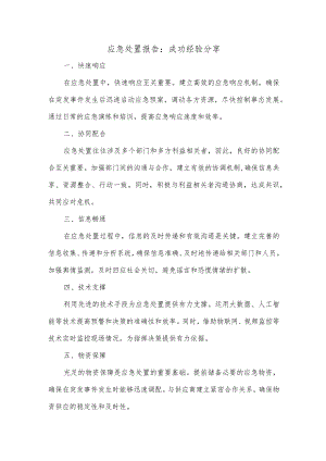应急处置报告成功经验.docx