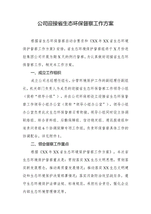 公司迎接省生态环保督察工作方案.docx