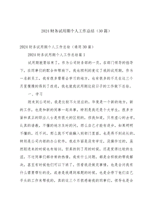 2024财务试用期个人工作总结（30篇）.docx