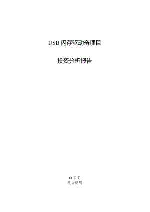 USB闪存驱动器项目投资分析报告.docx