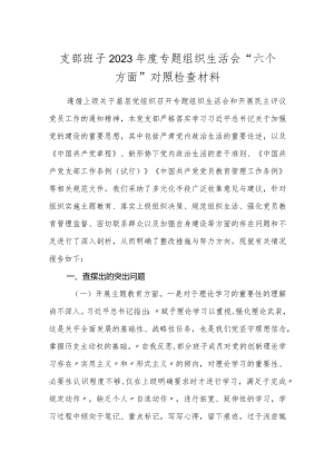 2篇支部班子2023-2024年度“六个方面”班子对照检查材料.docx