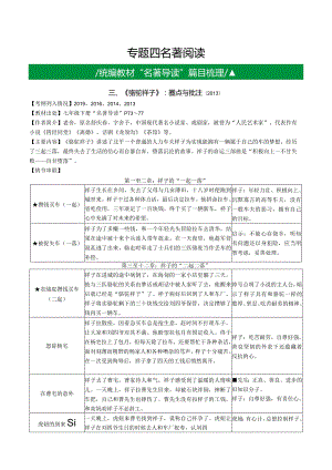 3.部编版名著导读《骆驼祥子》：圈点与批注.docx