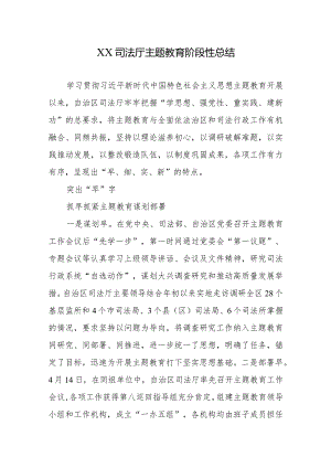 XX司法厅专题教育阶段性总结.docx