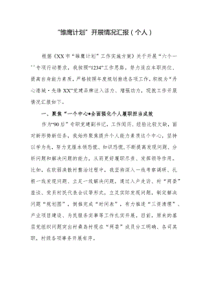 “雏鹰计划”开展情况汇报（个人）.docx