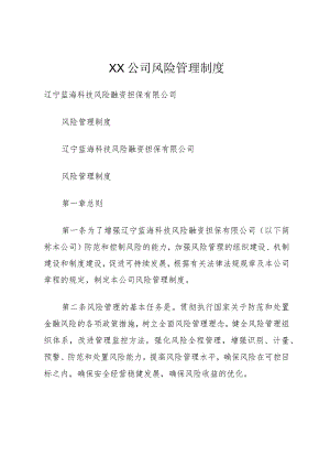 XX公司风险管理制度.docx