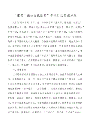 “重实干强执行抓落实”专项行动实施方案.docx