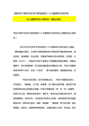 2篇年轻干部学习在学习贯彻党的二十大精神研讨班开班式上重要讲话心得体会（精选合辑）.docx