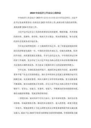 2024年中央经济工作会议心得体会三.docx