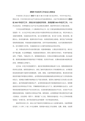 2024年中央经济工作会议心得体会.docx