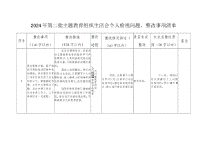 2024年第二批主题教育组织生活会个人检视问题、整改事项清单.docx
