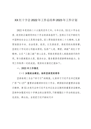 XX红十字会2022年工作总结和2023年工作计划.docx
