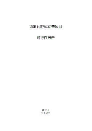 USB闪存驱动器项目可行性报告.docx