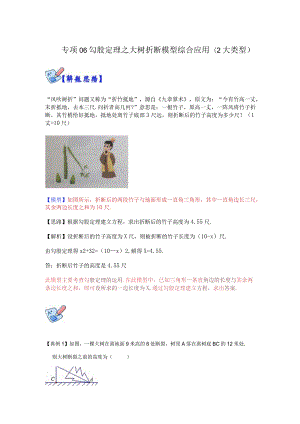 专项06勾股定理之大树折断模型综合应用（2大类型）（解析版）.docx
