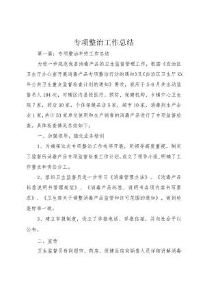 专项整治工作总结.docx