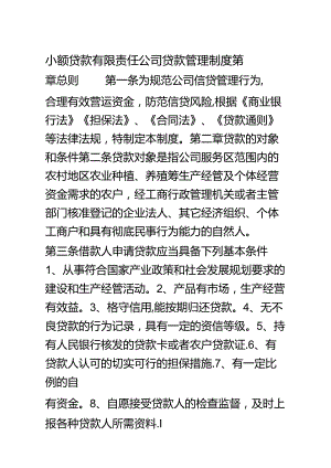 小额贷款有限责任公司贷款管理制度.docx