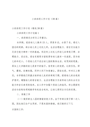 小班班级工作计划（30篇）.docx