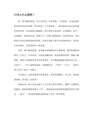 小洋人什么意思.docx