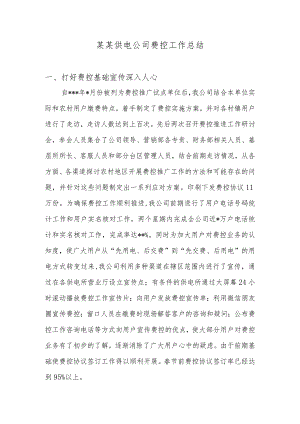 供电公司费控工作总结模板.docx