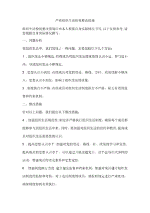 严密组织生活检视整改措施.docx