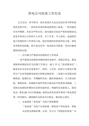 供电公司抗疫工作纪实.docx