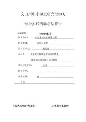 小学《神奇的影子》研究性学习课题.docx