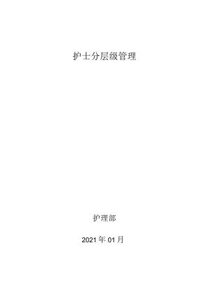 护士分层级管理.docx