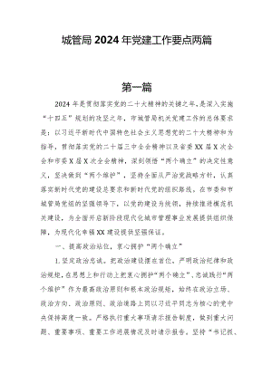 城管局2024年党建工作要点两篇.docx