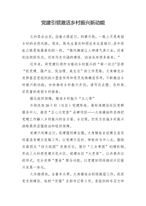 党建引领激活乡村振兴新动能.docx