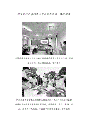 担当高校之责推进大中小学思政课一体化建设.docx