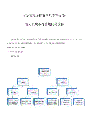 实验室现场评审常见不符合项.docx