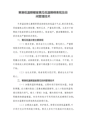 寒潮低温期棚室黄瓜低温障碍表现及田间管理技术.docx