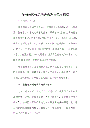 在当选区长后的表态发言范文提纲.docx