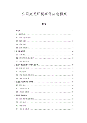 公司突发环境事件应急预案.docx