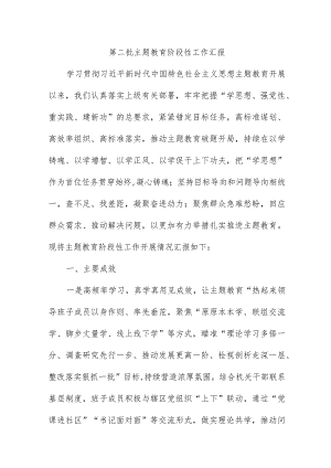 城投集团开展第二批主题教育工作汇报合计3份.docx