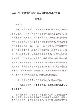 在县（市）扶持壮大村集体经济项目推进会上的讲话参考范文.docx