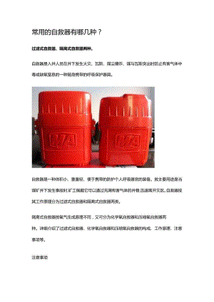 常用的自救器有哪几种.docx