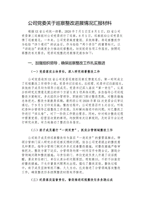 公司党委关于巡察整改进展情况汇报材料.docx