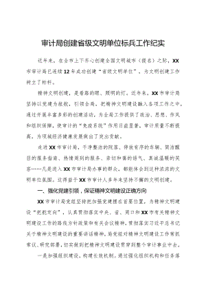 审计局创建省级文明单位标兵工作纪实.docx
