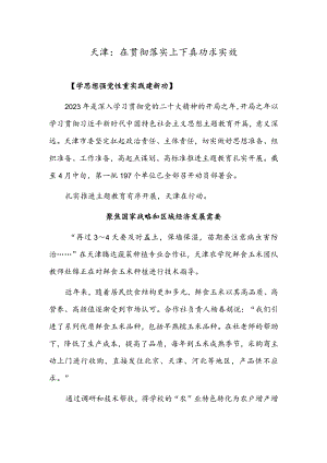 天津：在贯彻落实上下真功求实效.docx