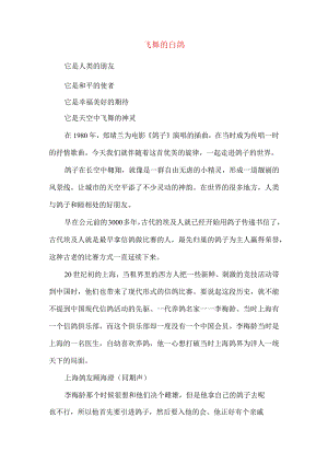 宣传片解说词飞舞的白鸽.docx