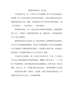 圆明园的毁灭读后感.docx