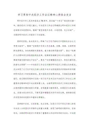 学习贯彻中央经济工作会议精神心得体会发言.docx