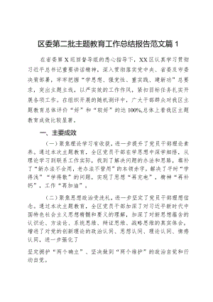 区委第二批主题教育工作总结报告范文2篇.docx