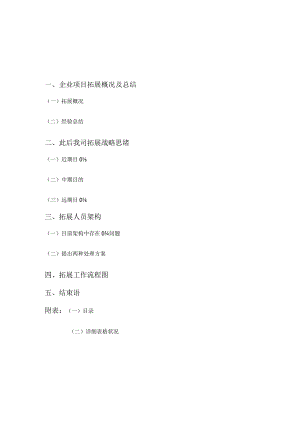 房地产项目发展报告.docx